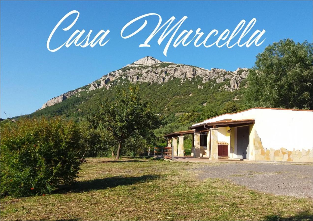 شقة Casa Marcella دورغالي المظهر الخارجي الصورة