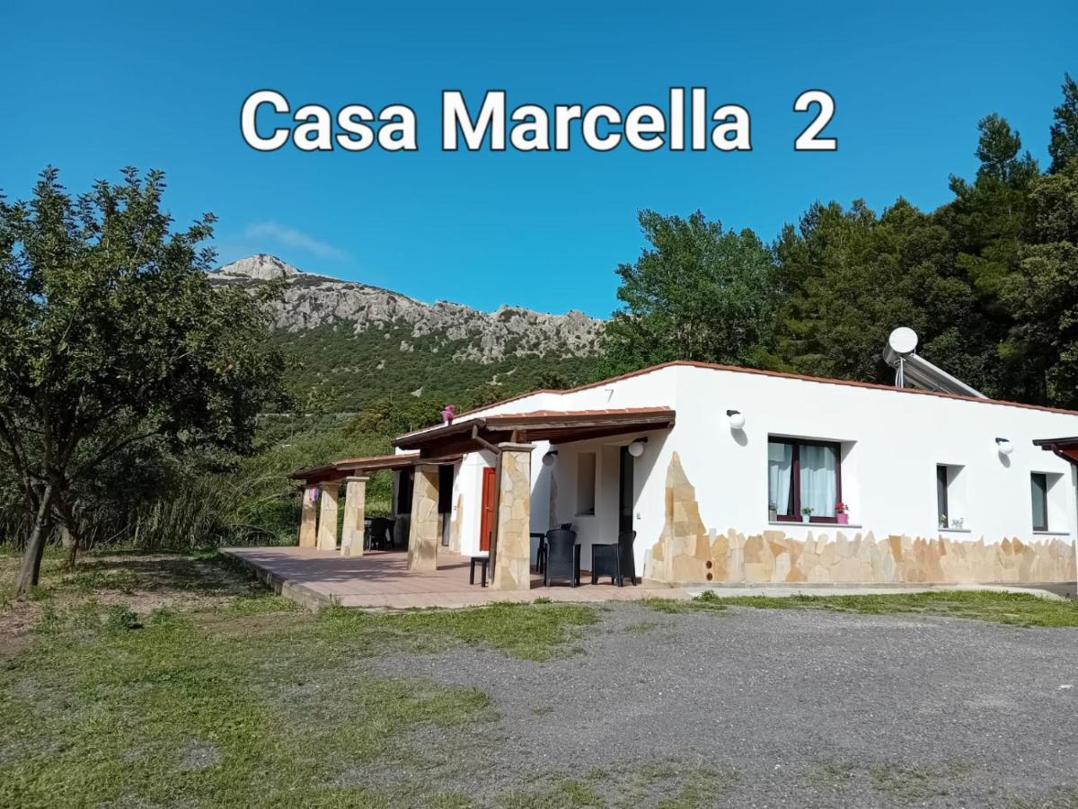 شقة Casa Marcella دورغالي المظهر الخارجي الصورة